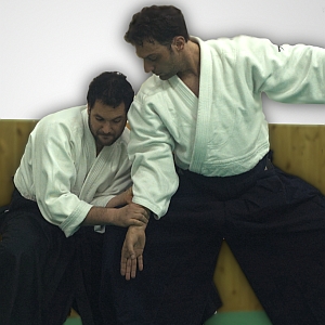 "Aikido Elements è una rivisitazione di ciò che comunemente viene definito "programma di base", non nella maniera di eseguire i movimenti ma nella loro scorporazione, alla ricerca di quelli che sono gli elementi costituenti alla base di qualunque sistema aikidoistico.