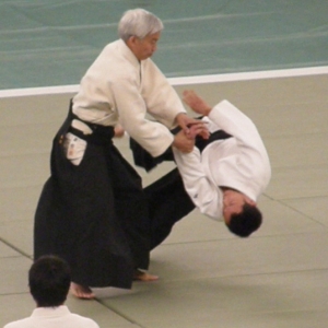 49th All Japan Aikido Demonstration