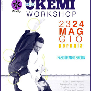 Aikido Workshop 23-24 Maggio 2015 Perugia