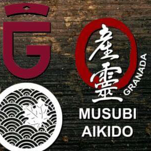 Stage di Aikido a Granada. Fabio Branno sensei 22-23 Ottobre 2016